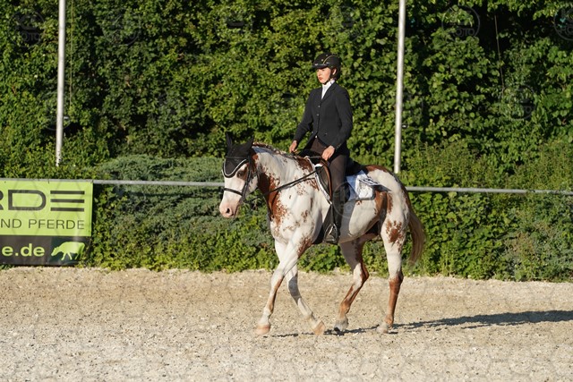 sA9K06187.JPG